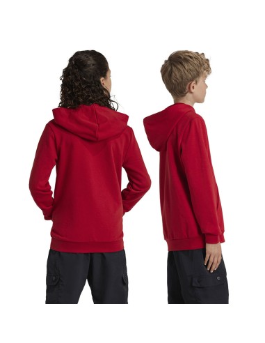 Adidas Bayern Munich Jr IT4134 sweatshirt