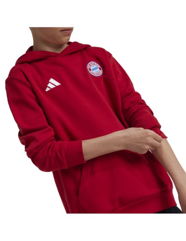 Adidas Bayern Munich Jr IT4134 sweatshirt