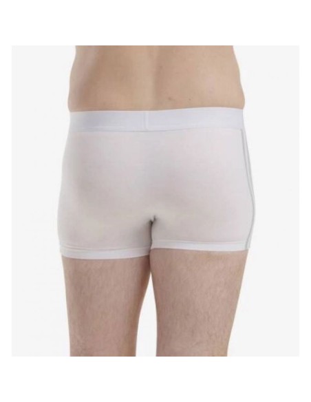 adidas Originals underwear 2pack M 4A4M51