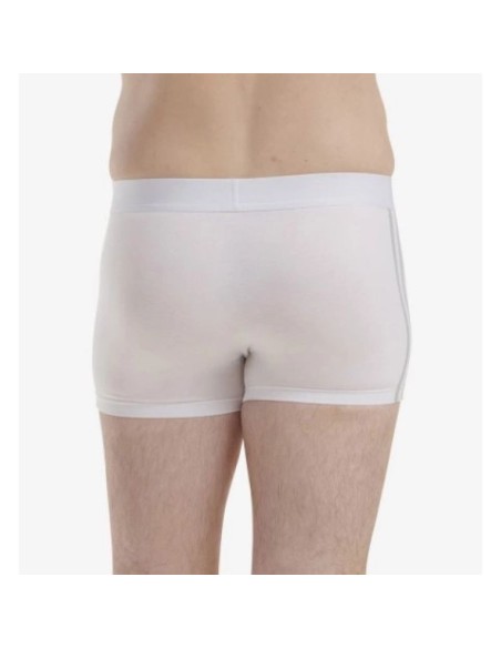 adidas Originals underwear 2pack M 4A4M51