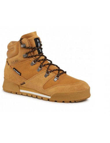 Adidas Terrex Snowpitch Cold.Rdy FV7960 Ανδρικά Ορειβατικά Μποτάκια Αδιάβροχα Mesa / Core Black