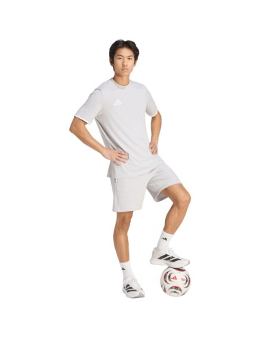 Men's adidas Entrada 26 Tee gray JZ6677