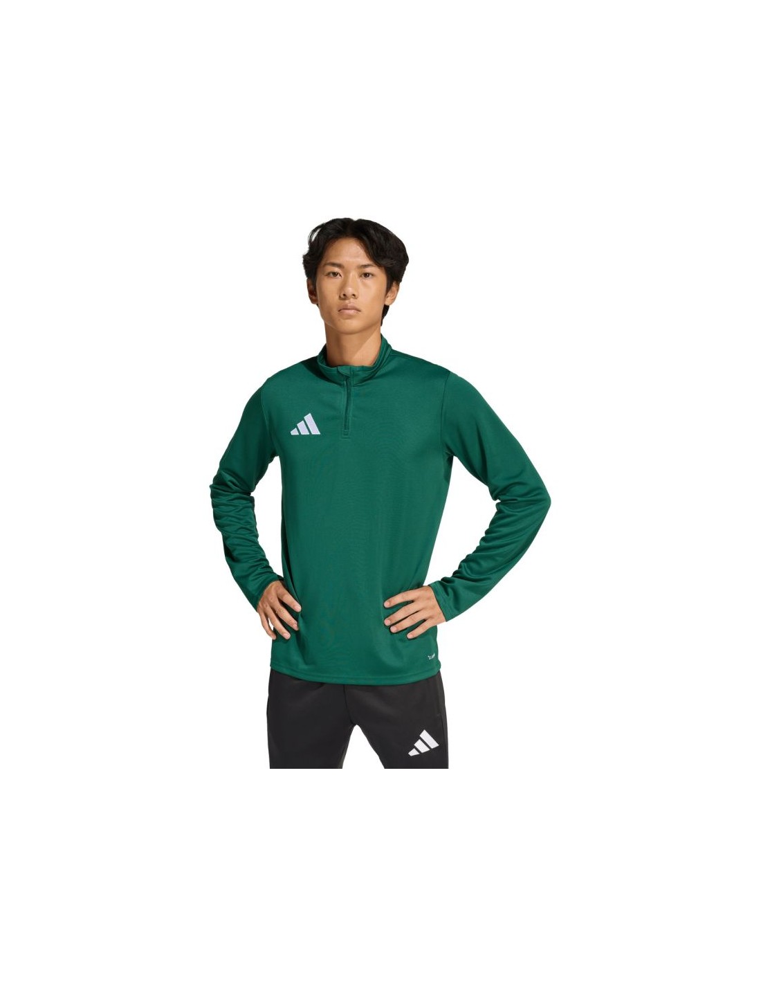 Men's adidas Entrada 26 Training Top green KE9823