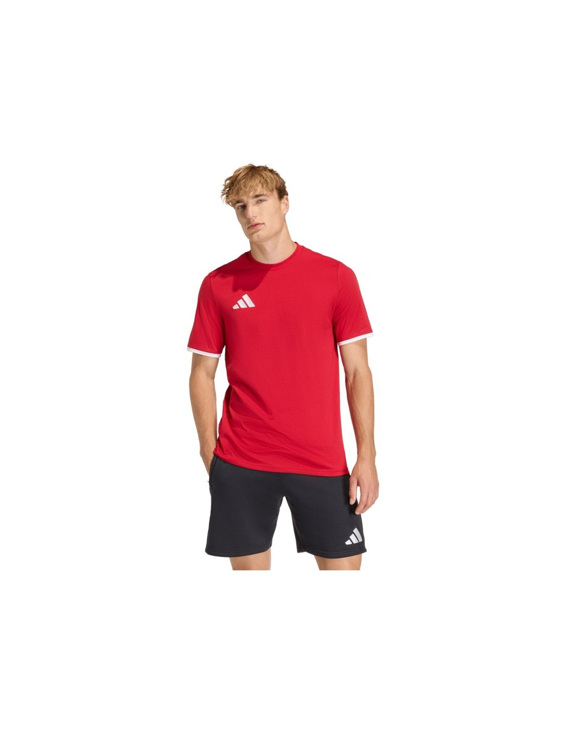 Men's adidas Entrada 26 Tee red JZ6676