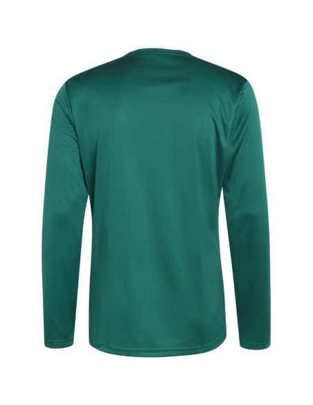 Men's adidas Entrada 26 Long Sleeve Jersey green KF5846