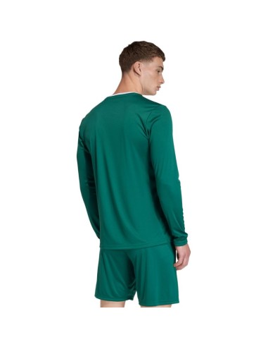 Men's adidas Entrada 26 Long Sleeve Jersey green KF5846