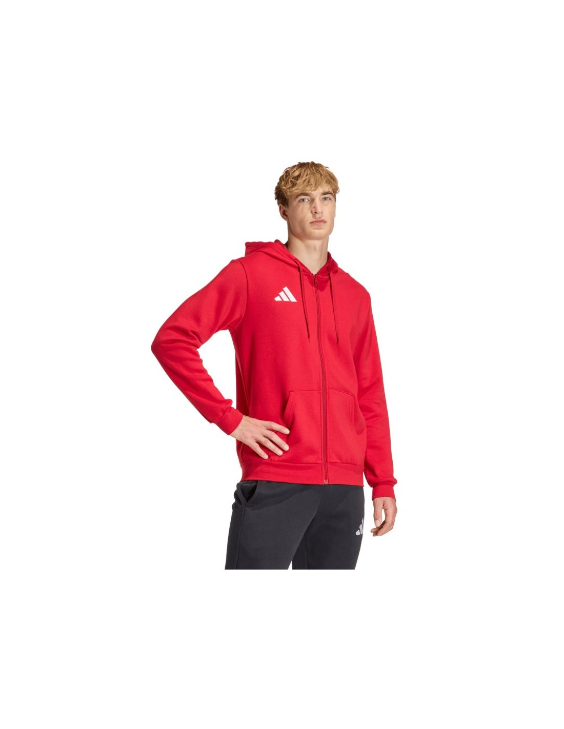 Men's Hoodies & Sweatshirts Adidas