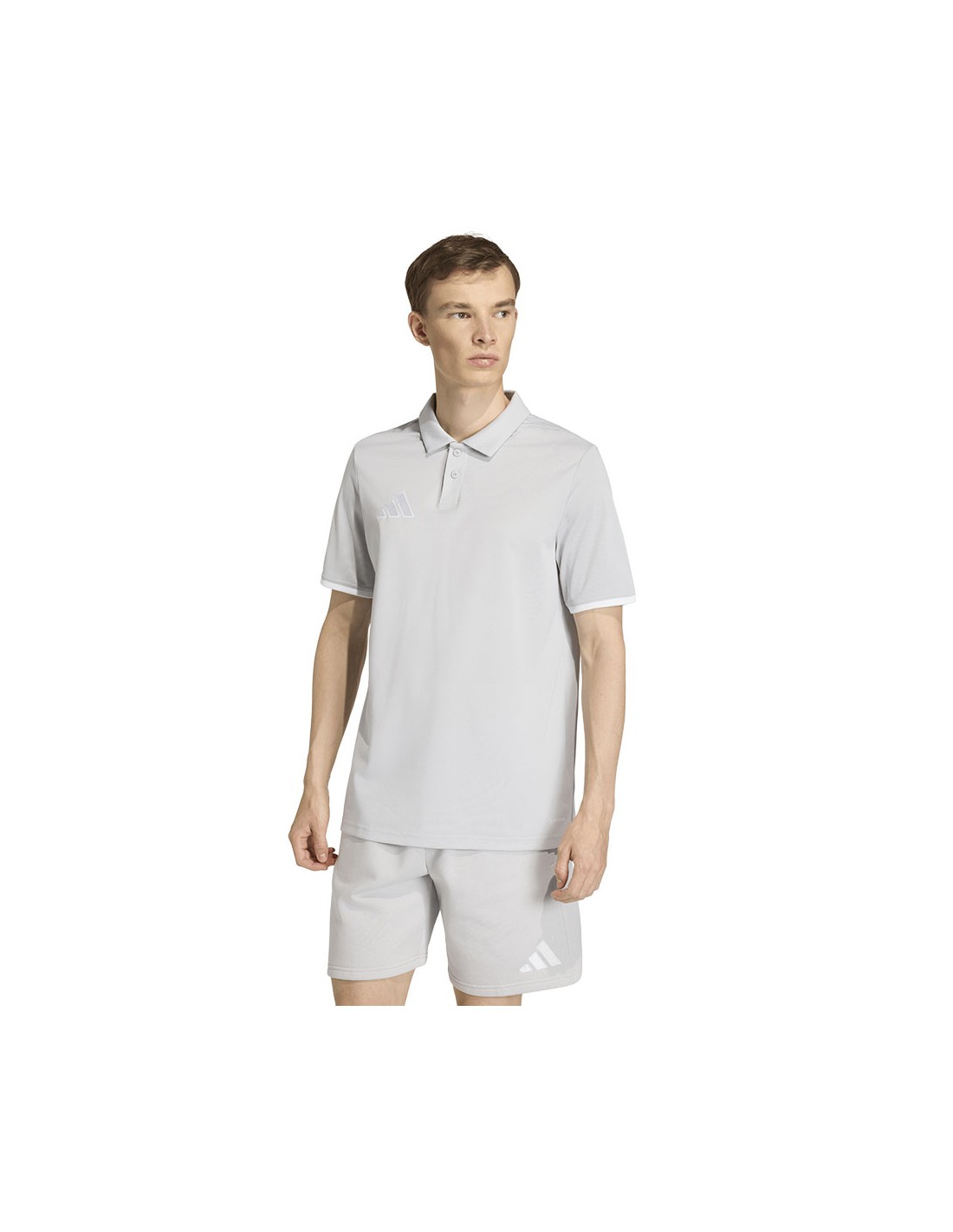 Men's adidas Entrada 26 Polo Tshirt gray JZ6662