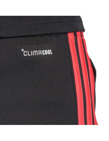 Men's adidas Tiro 26 League Training Shorts Black and Red JY9716