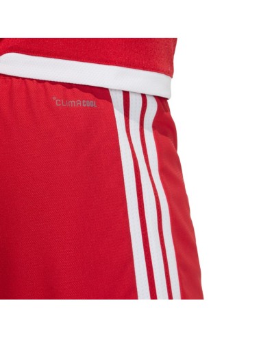 Men's adidas Tiro 26 Competition Match shorts red and white KA6179