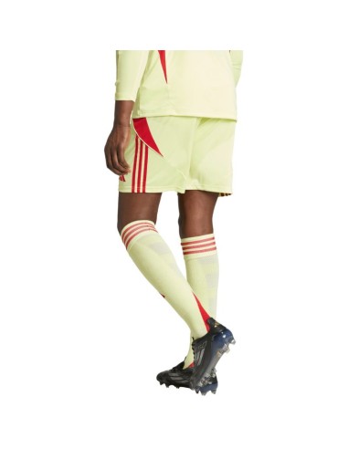 Men's adidas Tiro 24 shorts yellow and red JI6090