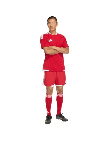 Men's adidas Tiro 26 Competition Match Jersey red and white KA6173