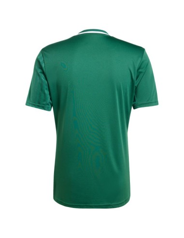 Men's adidas Campeon 25 Jersey green JF6063