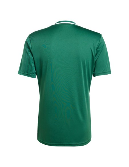 Men's adidas Campeon 25 Jersey green JF6063