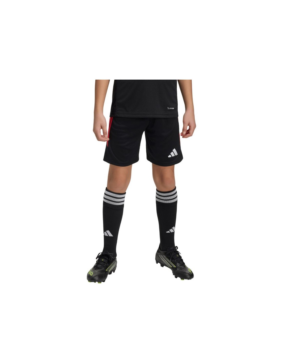 adidas Tiro 26 League kids' shorts black and red KA8814