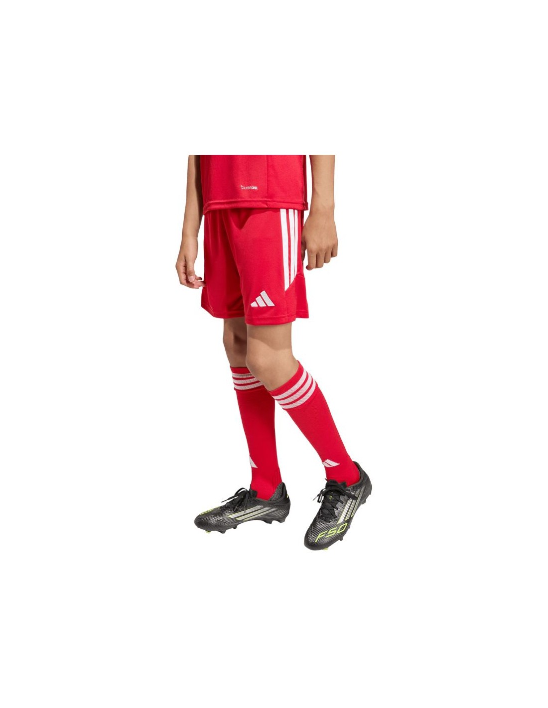 adidas Tiro 26 League kids' shorts red KA8817