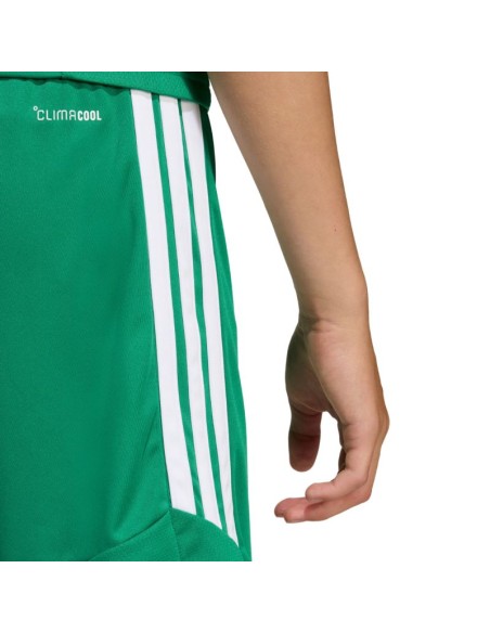 adidas Tiro 26 League Kids Shorts Green KA8812