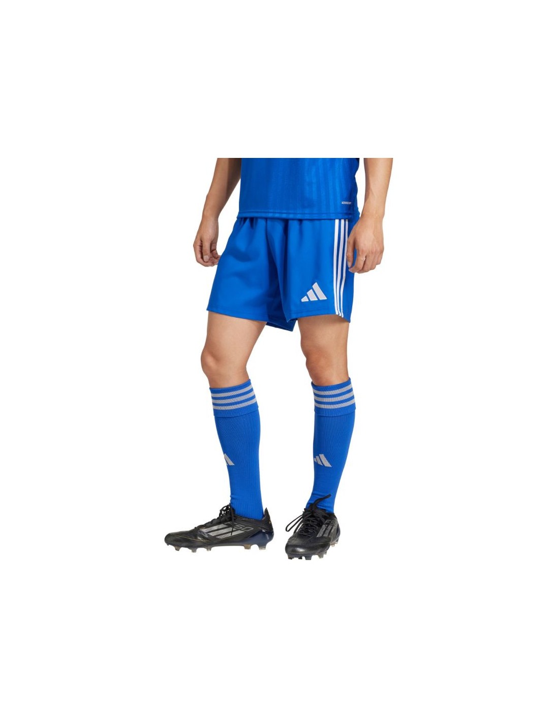 adidas Tastigo 25 M JN7159 shorts