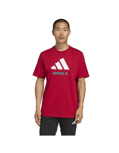 adidas Liverpool FC Seasonal DNA Graphic Tee 2 JY3466