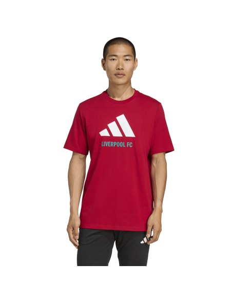 adidas Liverpool FC Seasonal DNA Graphic Tee 2 JY3466