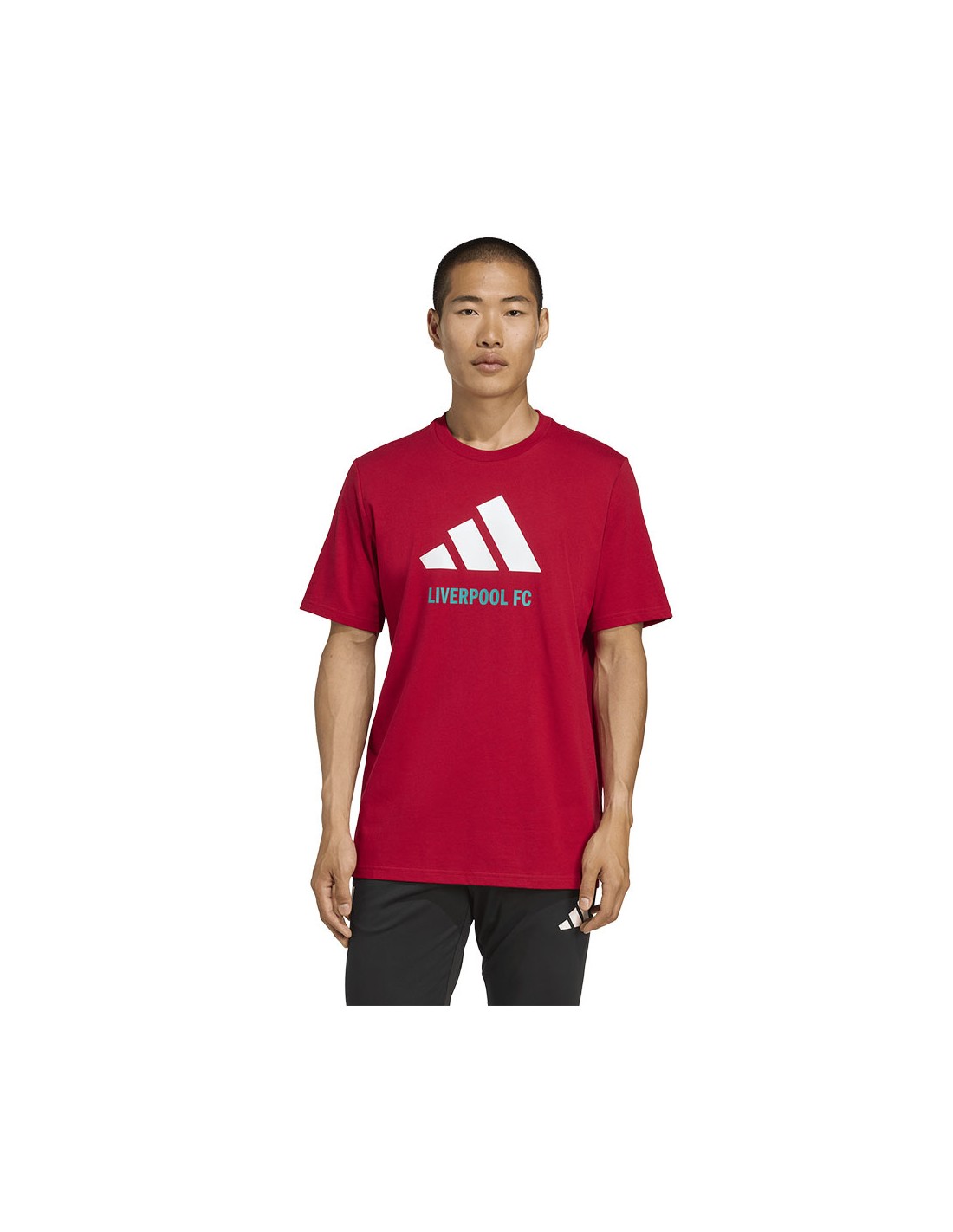 adidas Liverpool FC Seasonal DNA Graphic Tee 2 JY3466