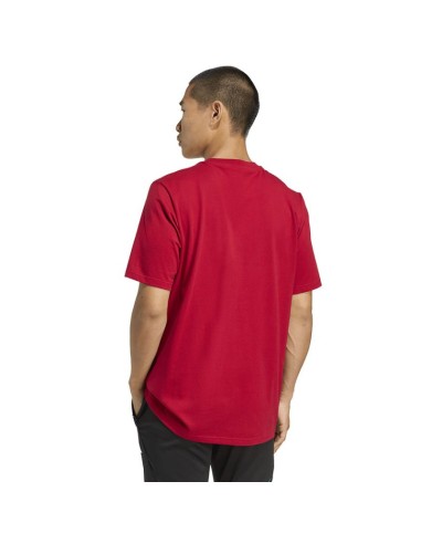 adidas Liverpool FC Seasonal DNA Graphic Tee 2 JY3466