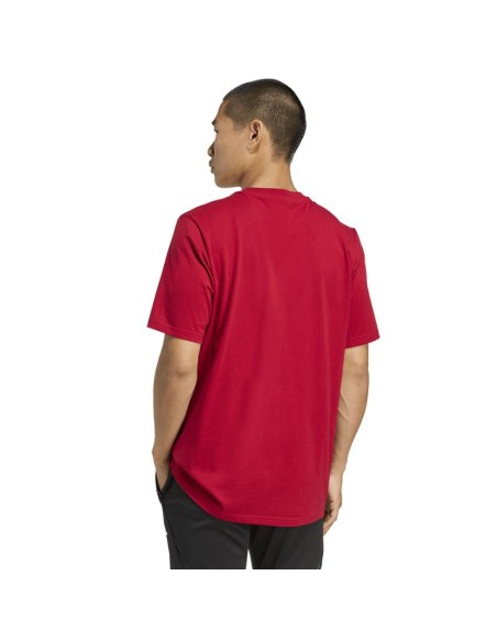 adidas Liverpool FC Seasonal DNA Graphic Tee 2 JY3466