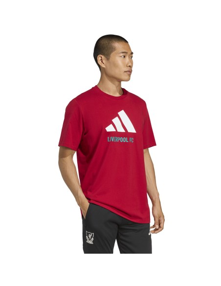 adidas Liverpool FC Seasonal DNA Graphic Tee 2 JY3466