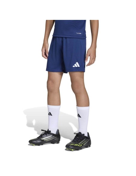 adidas Junior Entrada 26 JZ6532 shorts