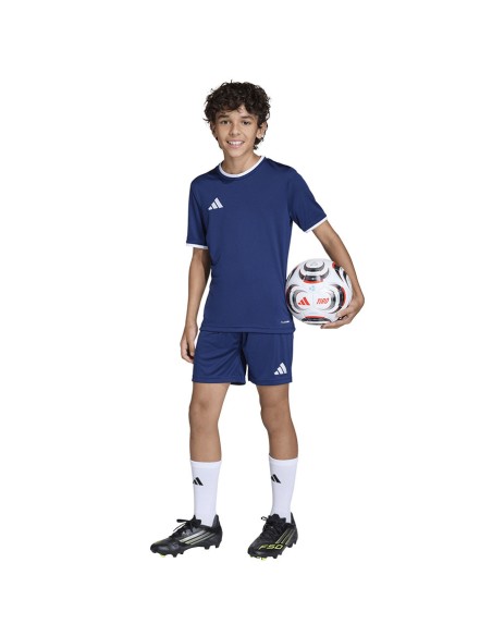 adidas Junior Entrada 26 JZ6532 shorts