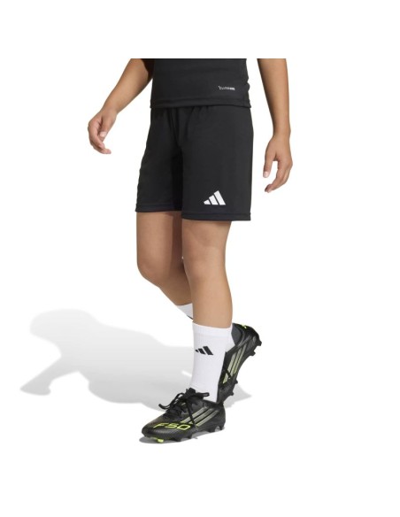 adidas Junior Entrada 26 JZ6531 Shorts