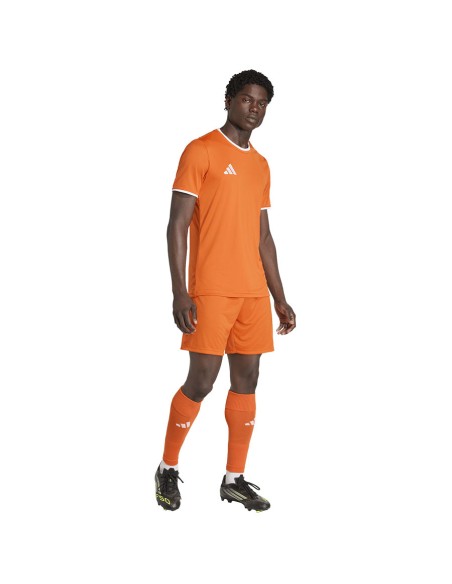 adidas Entrada 26 JSY JZ2509 Tshirt