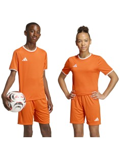 adidas Entrada 26 JSY JZ2526 Tshirt