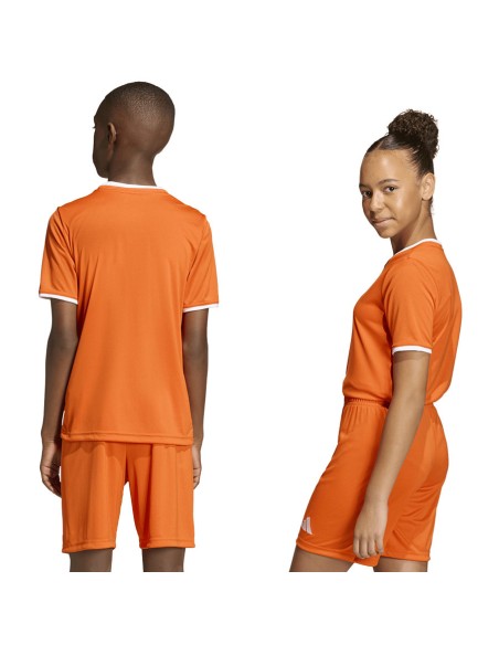 adidas Entrada 26 JSY JZ2526 Tshirt