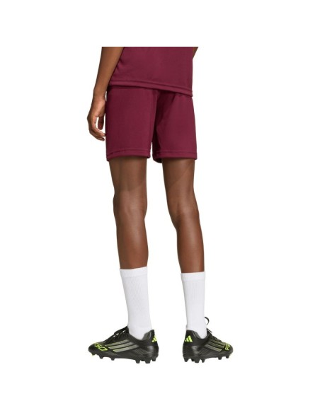 adidas Entrada 26 burgundy kids' shorts JZ6527