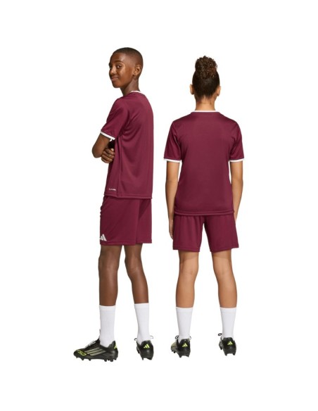 adidas Entrada 26 burgundy kids' shorts JZ6527