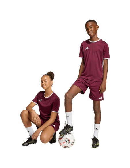 adidas Entrada 26 burgundy kids' shorts JZ6527
