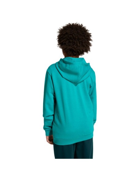 Adidas Essentials green kids tracksuit JN2427