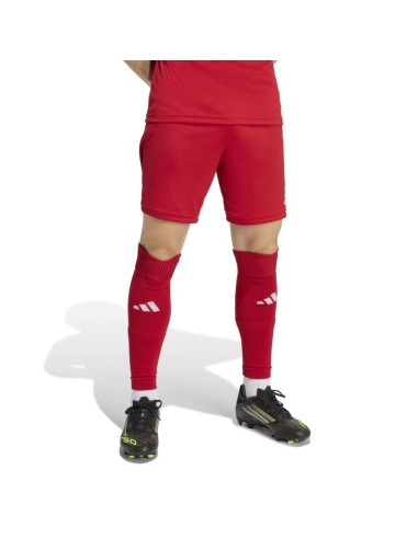 adidas Entrada 26 JZ2517 shorts