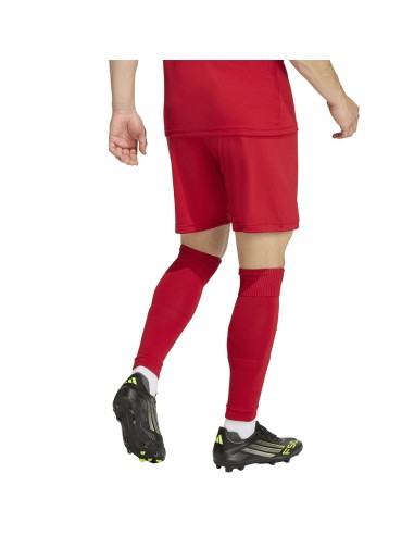 adidas Entrada 26 JZ2517 shorts