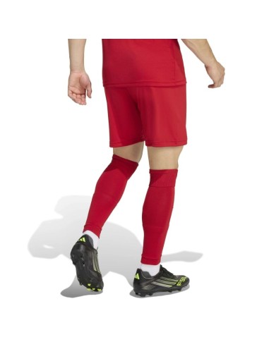 adidas Entrada 26 JZ2517 shorts