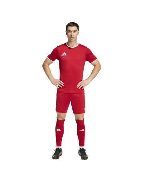 adidas Entrada 26 JZ2517 shorts