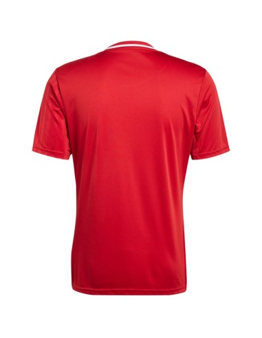 adidas Campeon 25 Jersey M JF6058