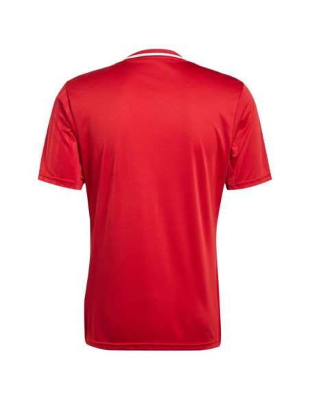 adidas Campeon 25 Jersey M JF6058