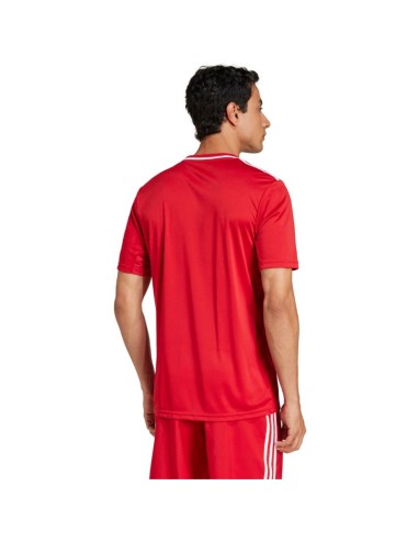 adidas Campeon 25 Jersey M JF6058