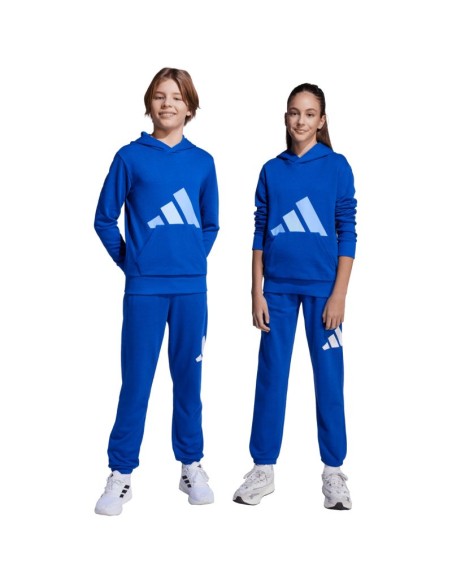 adidas Essentials 280 Blue Kids' Pants JV9916
