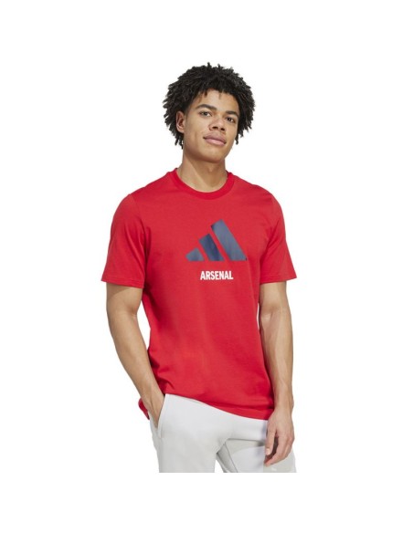 adidas Arsenal London FC 2425 Session Graphic Tee JM9415