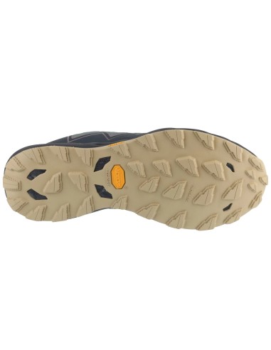 Mizuno Wave Daichi 9 GTX J1GJ255611