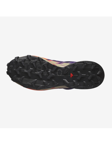 Salomon Speedcross 6 GTX L47980700