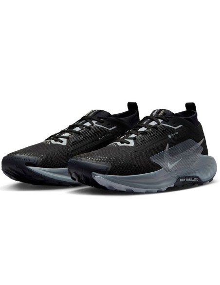 Nike Pegasus Trail 5 GoreTex FQ0908001 shoes